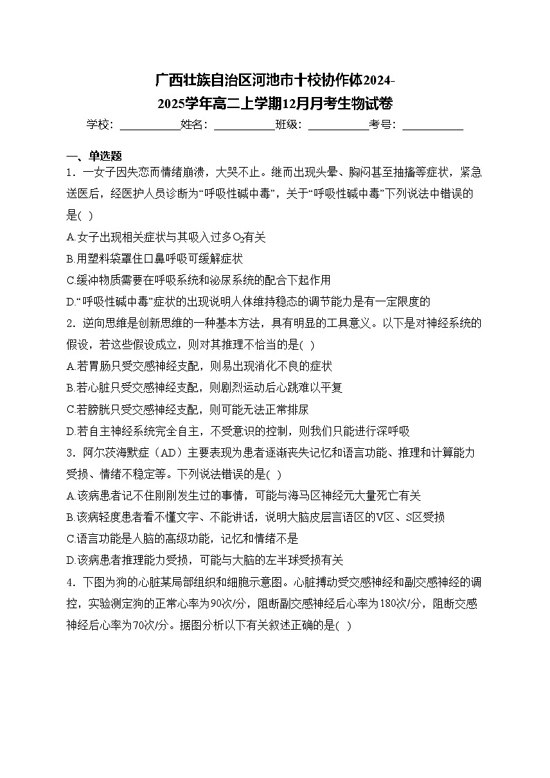 广西壮族自治区河池市十校协作体2024-2025学年高二上学期12月月考生物试卷(含答案)第1页