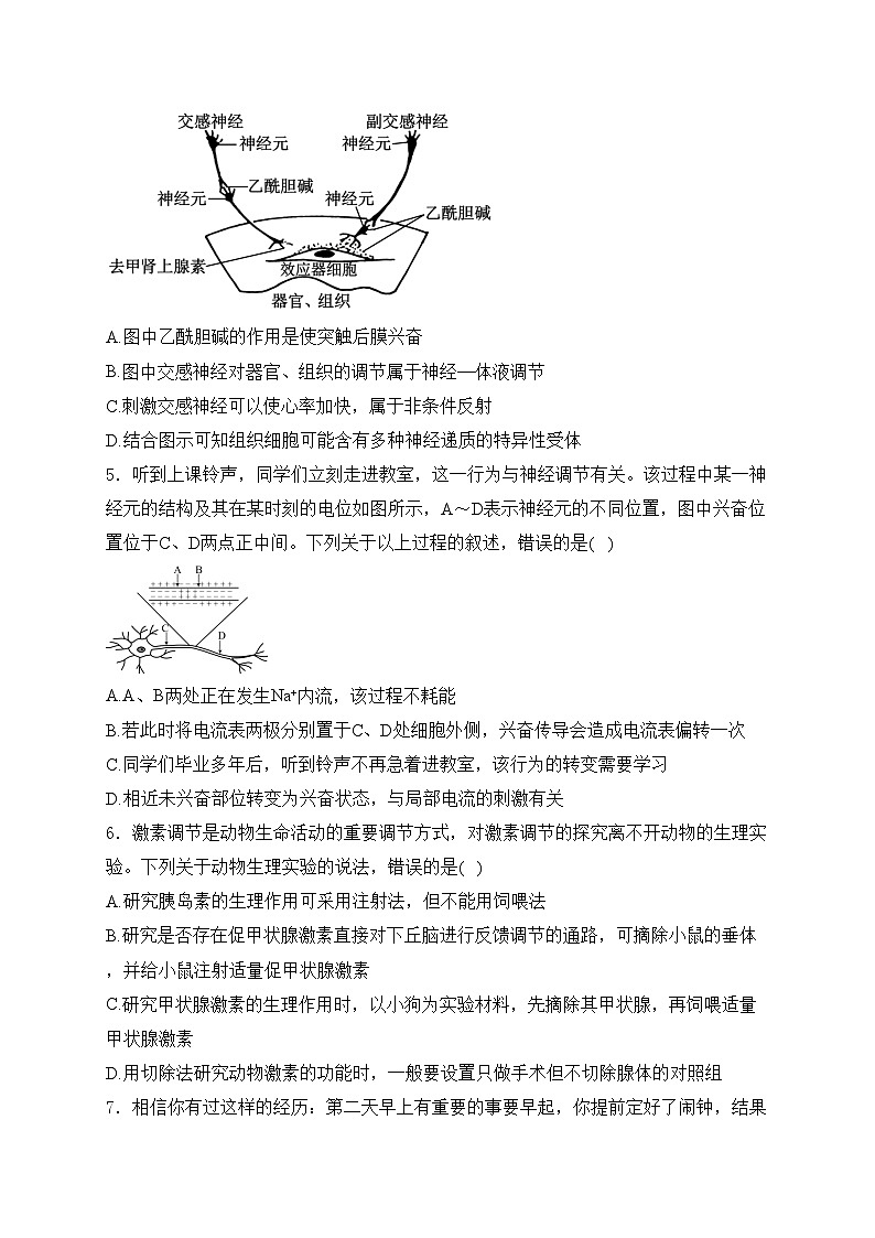 广西壮族自治区河池市十校协作体2024-2025学年高二上学期12月月考生物试卷(含答案)第2页
