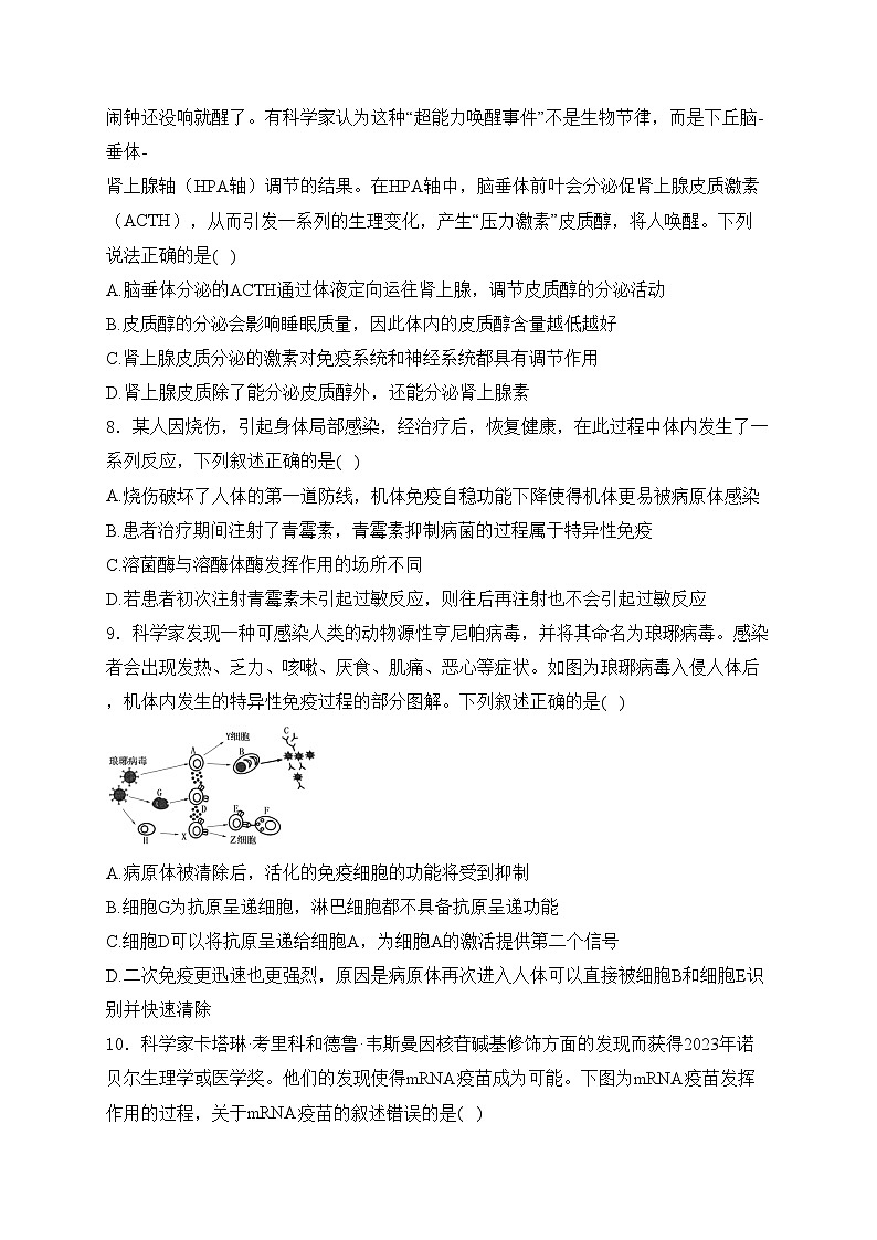广西壮族自治区河池市十校协作体2024-2025学年高二上学期12月月考生物试卷(含答案)第3页