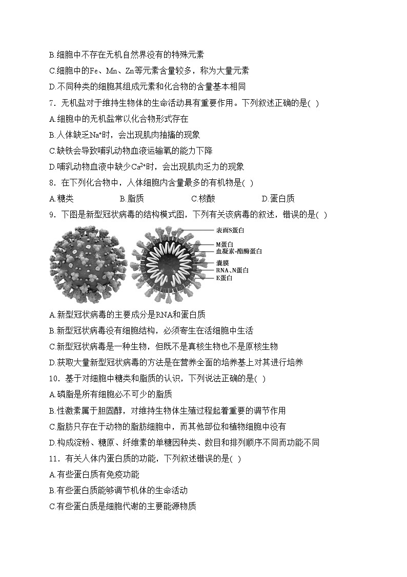 贵州省部分学校2024-2025学年高一上学期第一次联考生物试卷(含答案)第2页