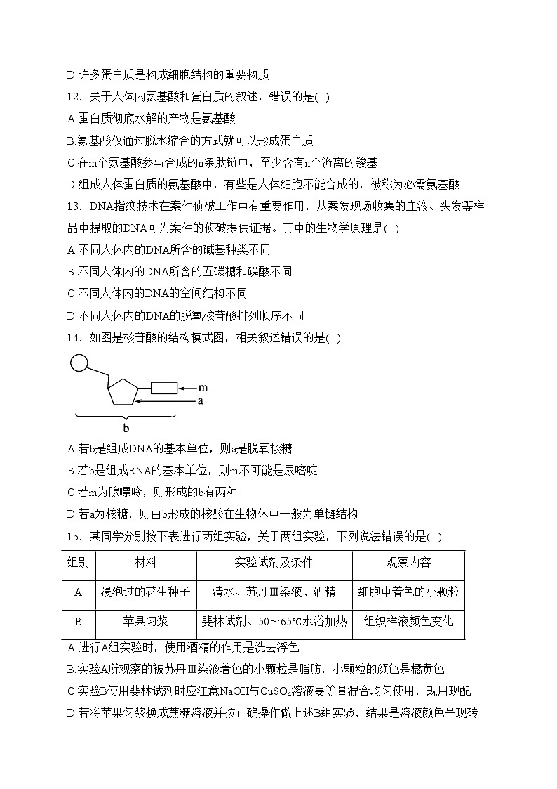 贵州省部分学校2024-2025学年高一上学期第一次联考生物试卷(含答案)第3页
