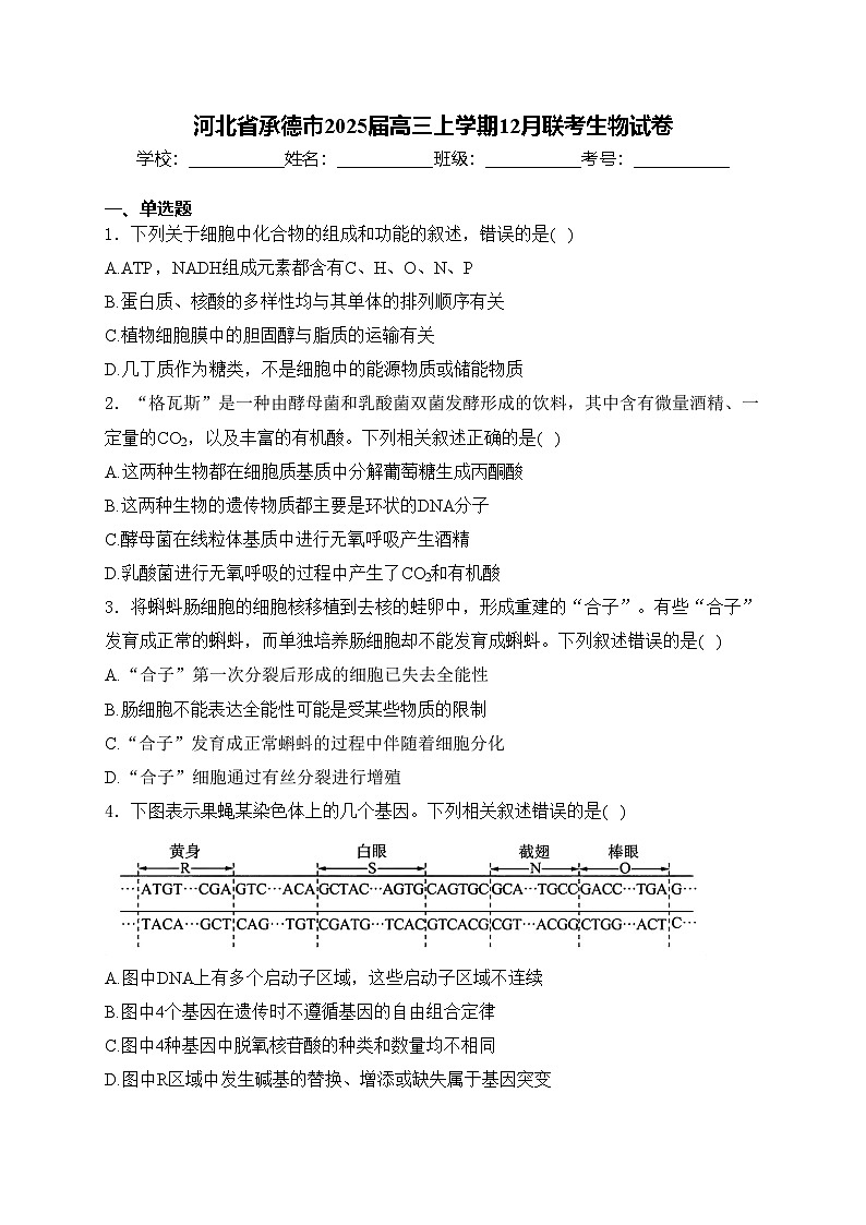 河北省承德市2025届高三上学期12月联考生物试卷(含答案)第1页