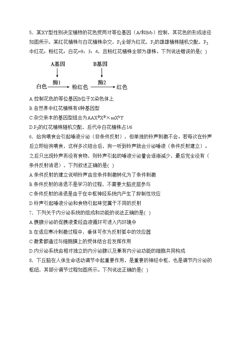 河北省承德市2025届高三上学期12月联考生物试卷(含答案)第2页