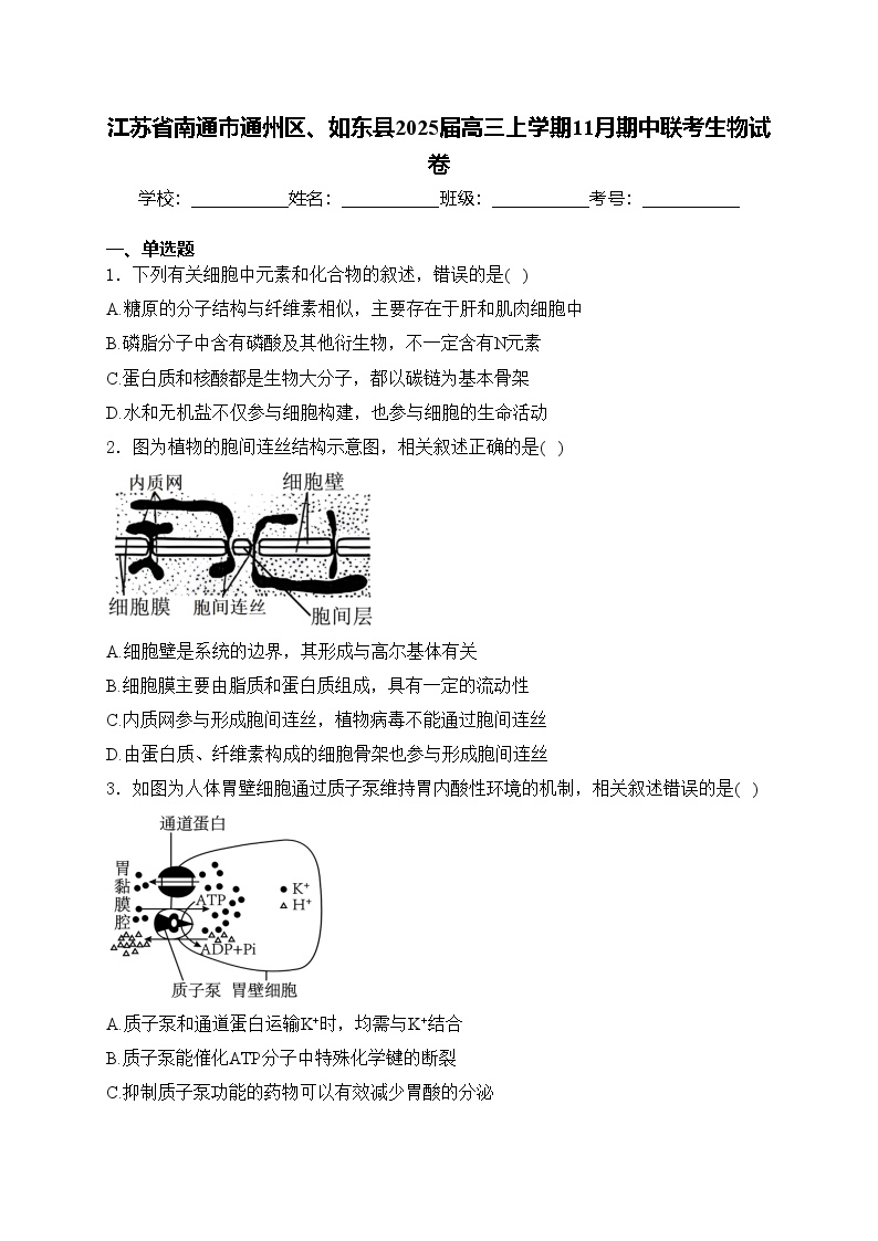 江苏省南通市通州区、如东县2025届高三上学期11月期中联考生物试卷(含答案)