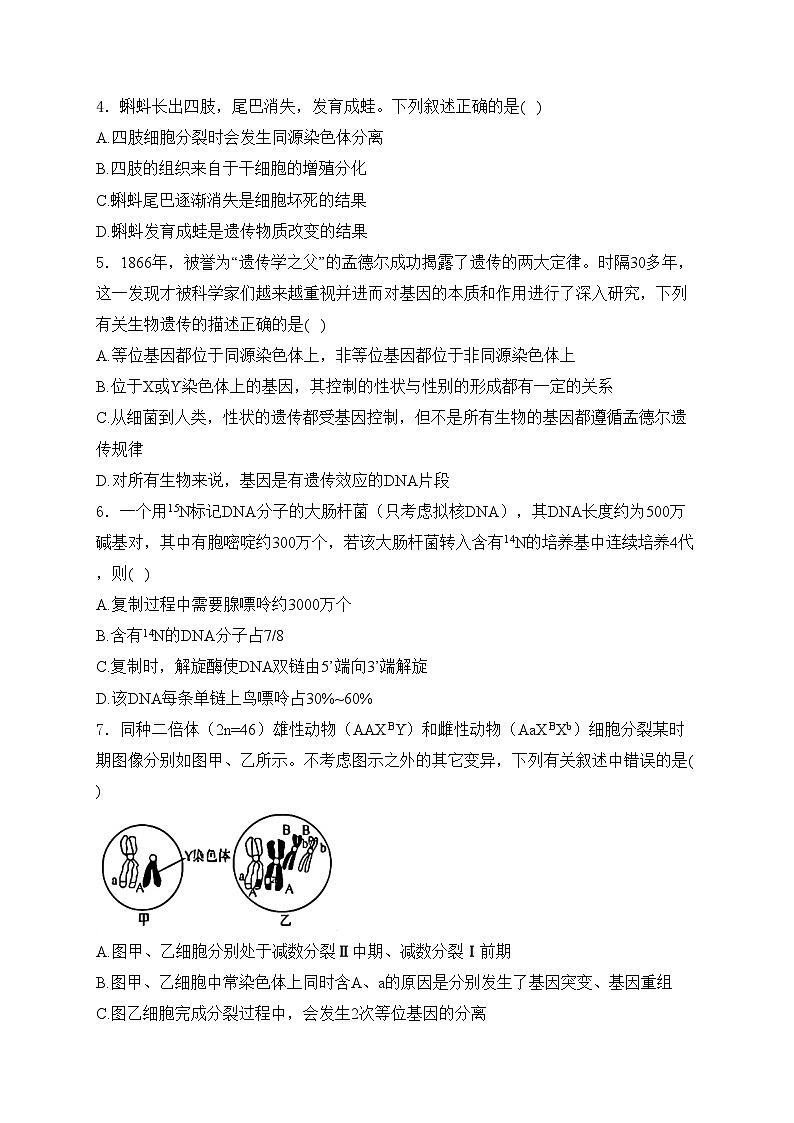 六安市独山中学2025届高三上学期12月月考生物试卷(含答案)第2页