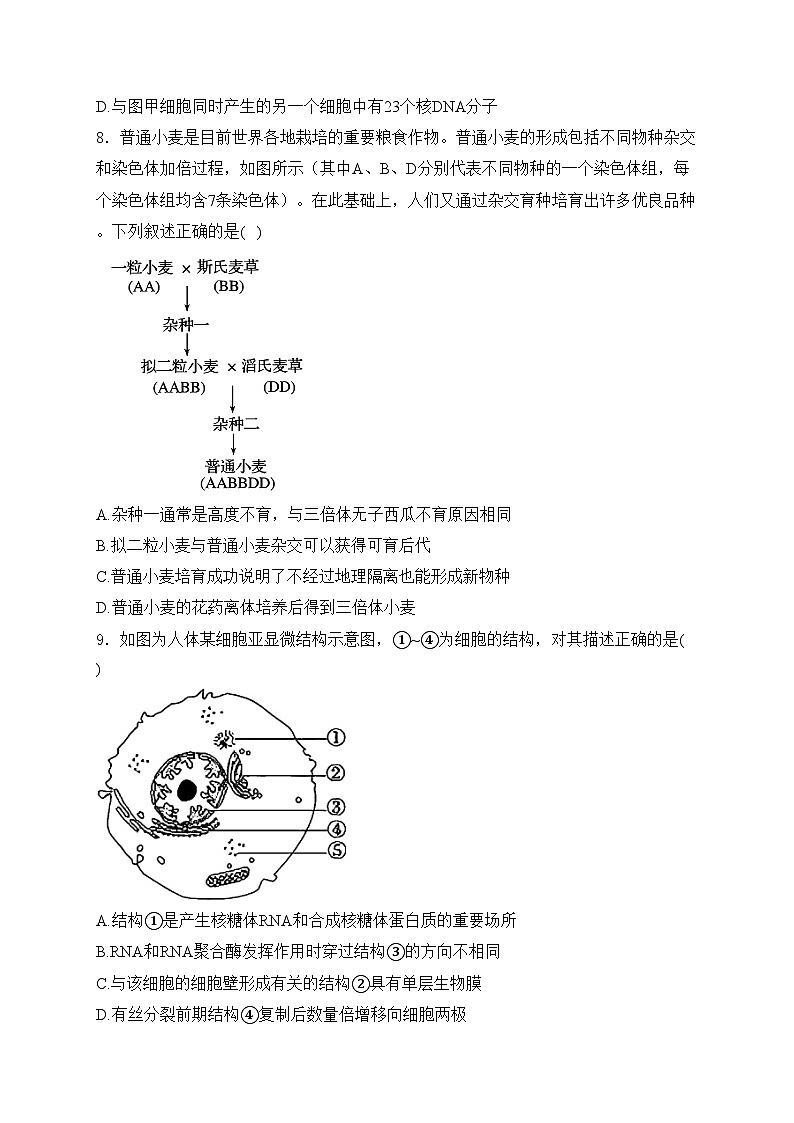 六安市独山中学2025届高三上学期12月月考生物试卷(含答案)第3页