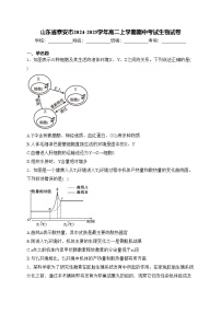 山東省泰安市2024-2025學(xué)年高二上學(xué)期期中考試生物試卷(含答案)