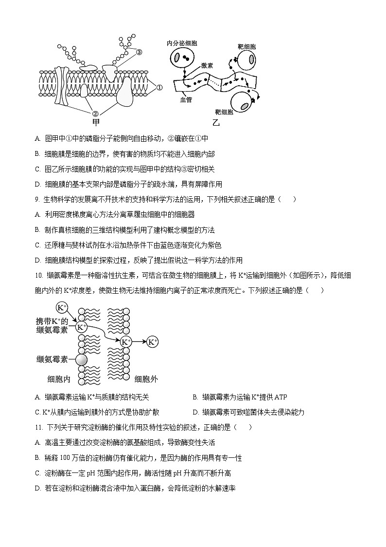 贵州省贵阳市2024-2025学年高一上学期12月月考生物试题 Word版无答案第3页
