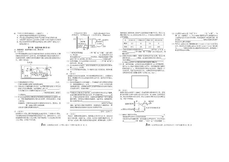 江西省抚州市2023_2024学年高三生物上学期月考试卷pdf第2页