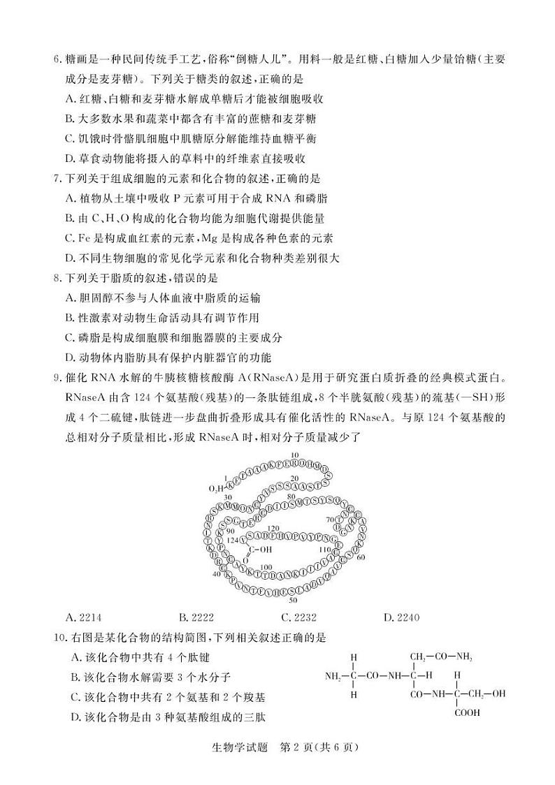 江西省抚州市2023_2024学年高一生物上学期期中试卷pdf第2页
