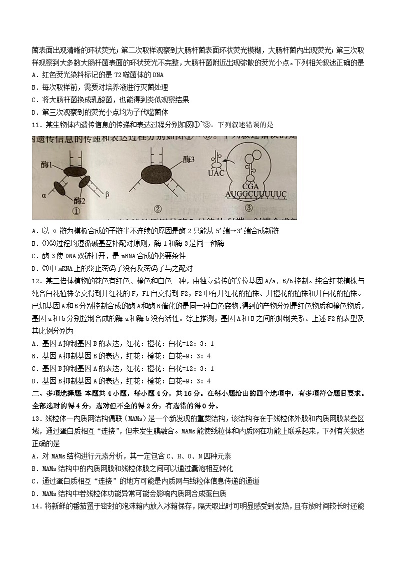 江西省赣州市部分学校联考2023_2024学年高三生物上学期11月期中试题无答案第3页