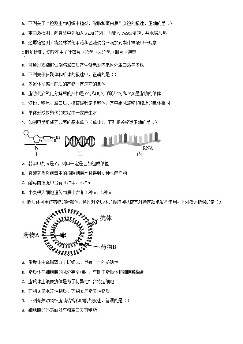 山东省2023_2024学年高一生物上学期期中试题含解析第2页