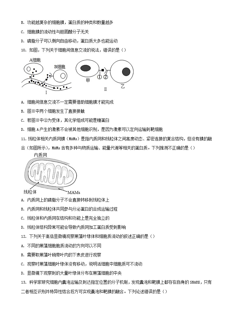 山东省2023_2024学年高一生物上学期期中试题含解析第3页