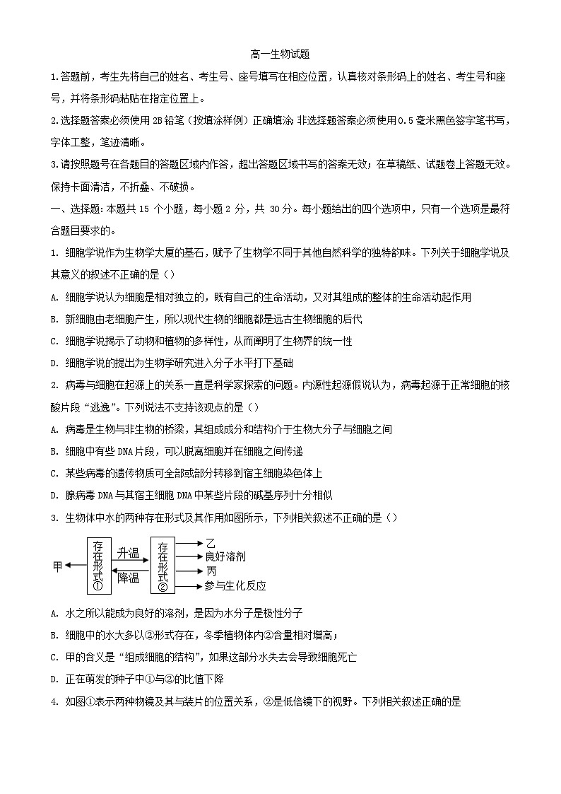 山东省泰安市肥城市2023_2024学年高一生物上学期期中试题含解析第1页