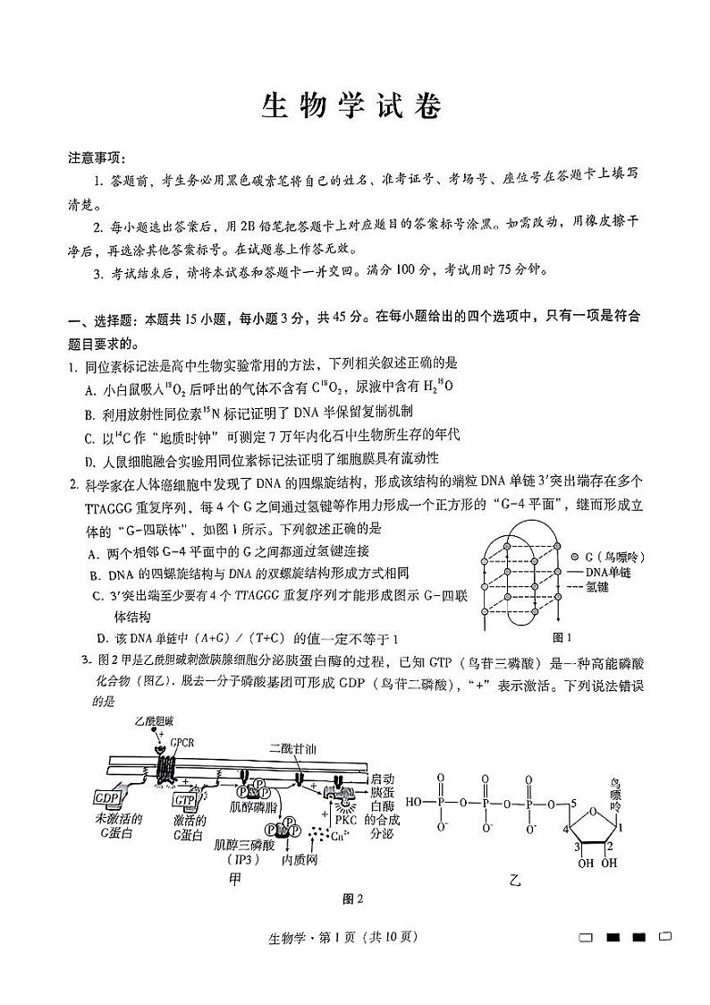 重庆市巴蜀中学校2024-2025学年高三上学期12月生物试题第1页