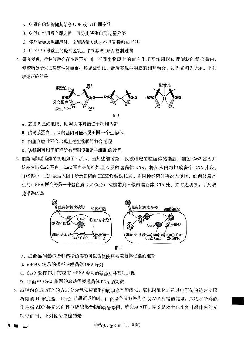 重庆市巴蜀中学校2024-2025学年高三上学期12月生物试题第2页