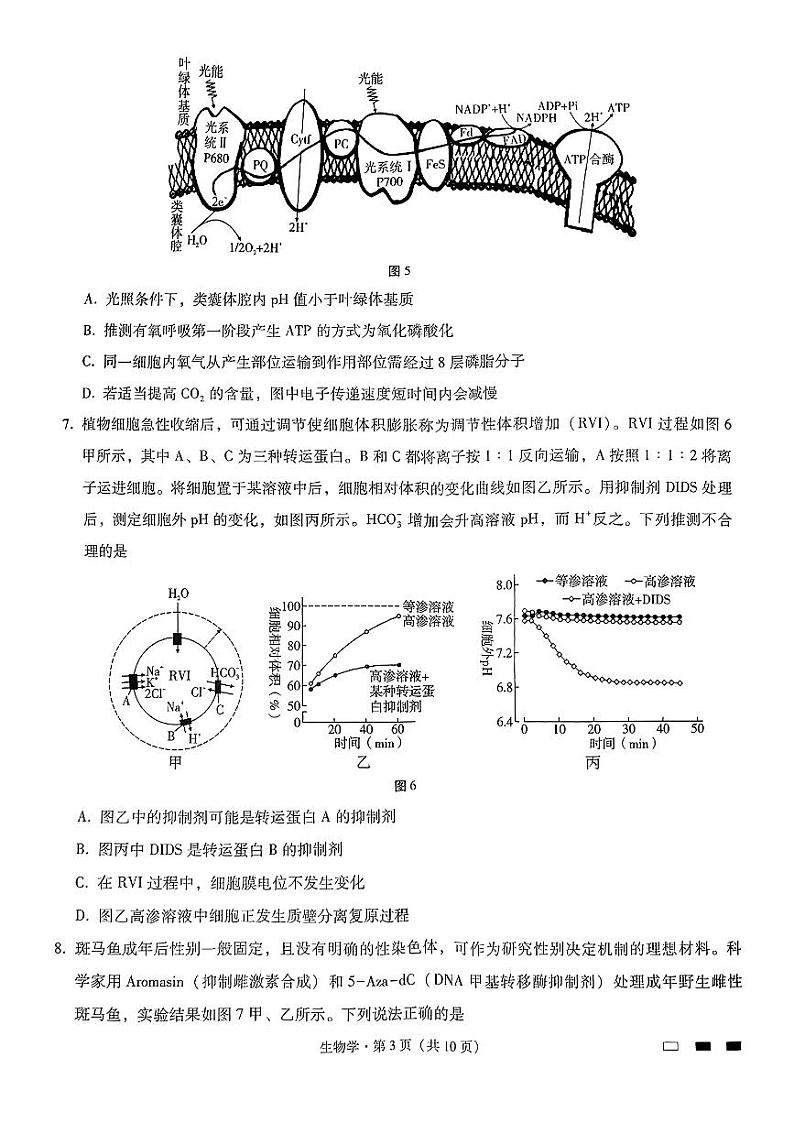 重庆市巴蜀中学校2024-2025学年高三上学期12月生物试题第3页