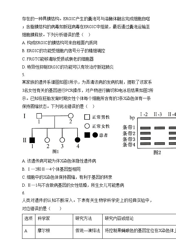 湖南省岳阳市岳阳县第一中学2024-2025学年高三上学期12月月考生物试题 Word版无答案第2页