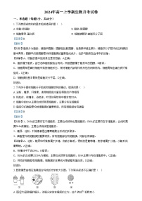 湖南省岳阳市岳阳县第一中学2024-2025学年高一上学期12月月考生物试卷（Word版附解析）