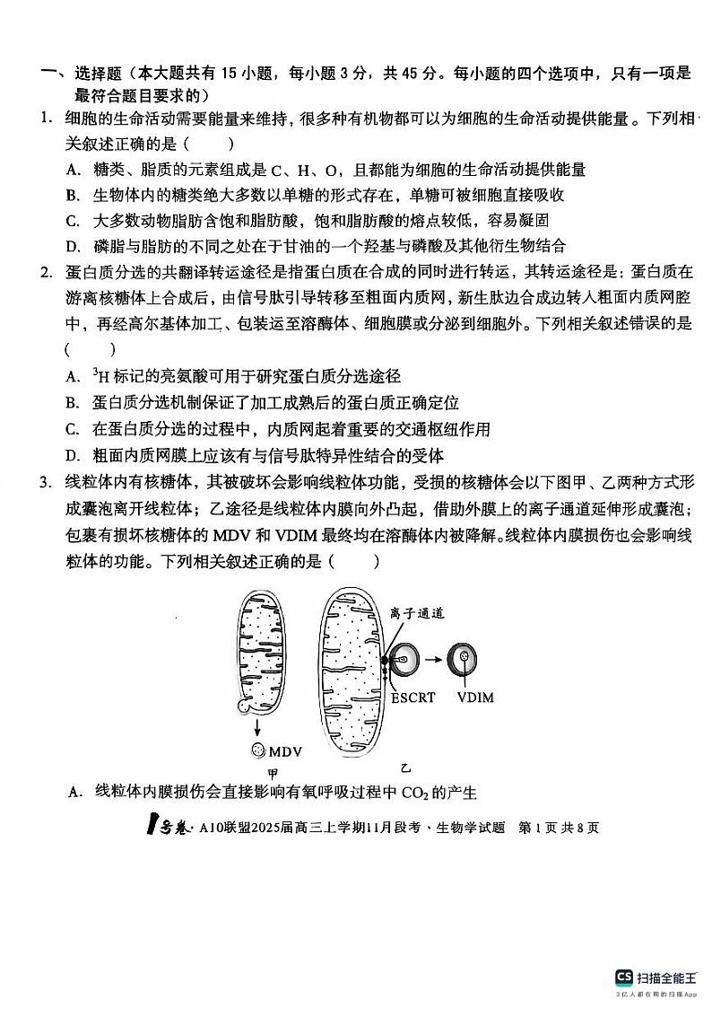 安徽省A10联盟2024-2025学年高三上学期11月月考生物试题第1页