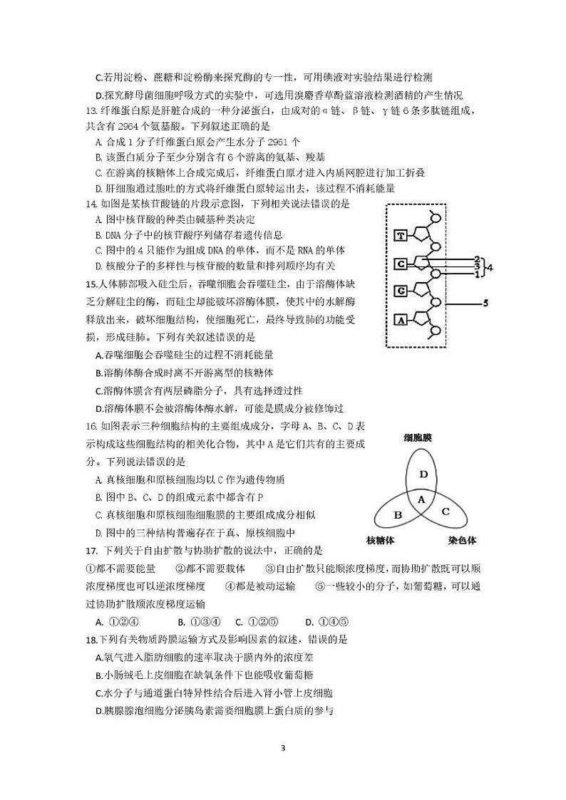 四川省达州市2024-2025学年高一上学期期末模拟考试生物试题第3页