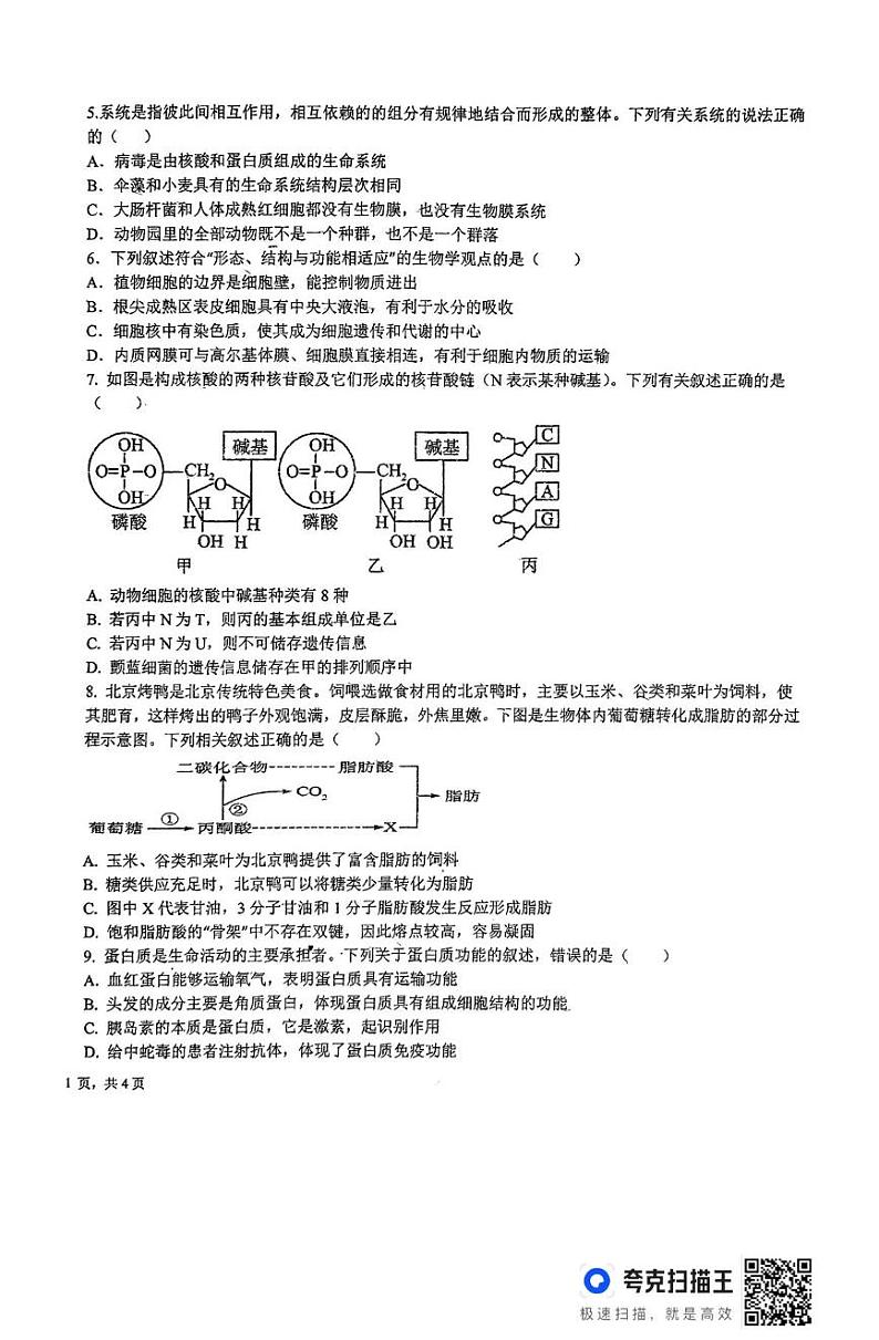 江西省临川第一中学2024-2025学年高一上学期1月阶段性测试生物试题第2页