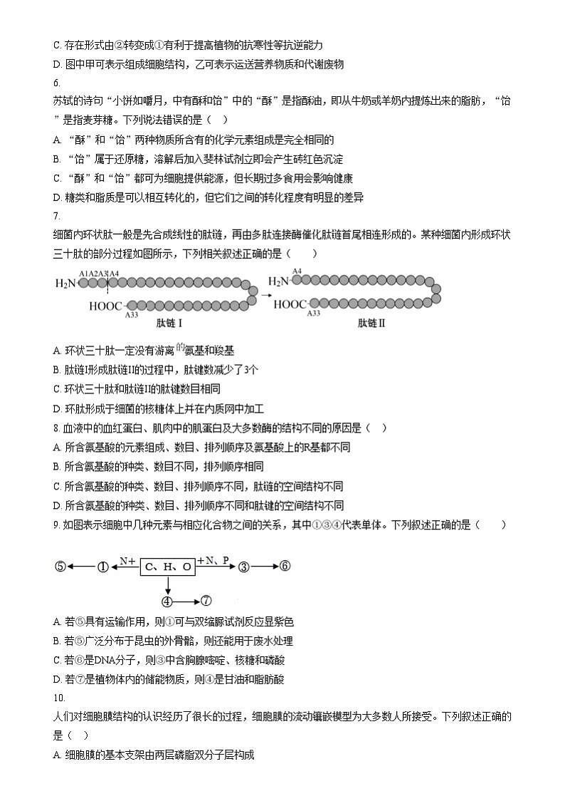 江苏省常州市五校联考2024-2025学年高一上学期12月月考生物试题无答案第2页