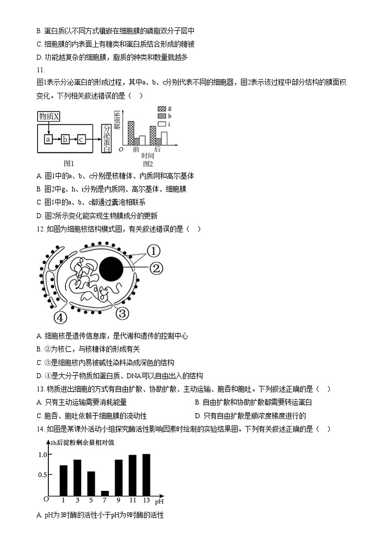 江苏省常州市五校联考2024-2025学年高一上学期12月月考生物试题无答案第3页