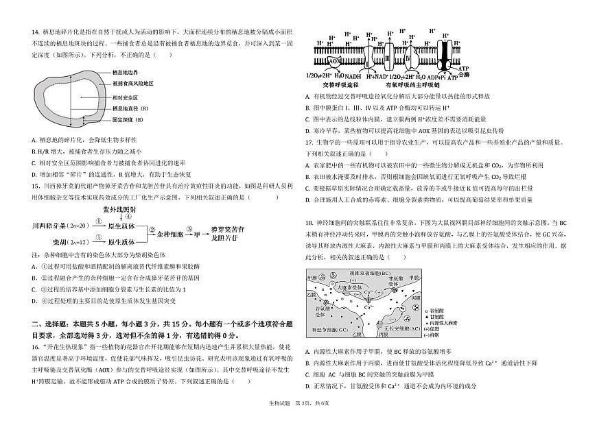 2025省大慶大慶中學(xué)高三上學(xué)期12月模擬考試生物PDF版含答案（可編輯）第3頁(yè)