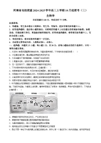 河南省2024-2025年金太阳高三年级联考(三)生物学试题(含解析)