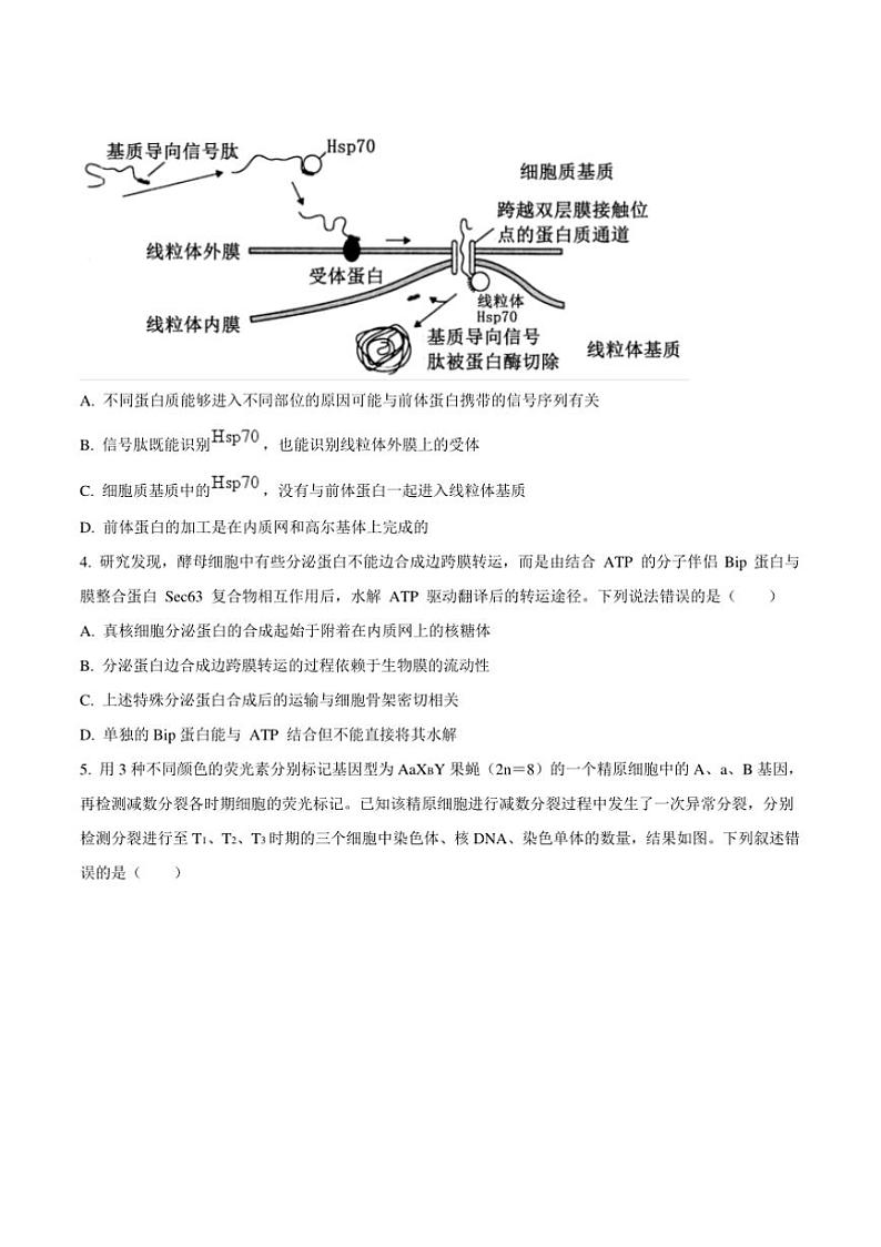 2025届山东省泰安第一中学高三上12月月考生物试卷(含答案)第2页