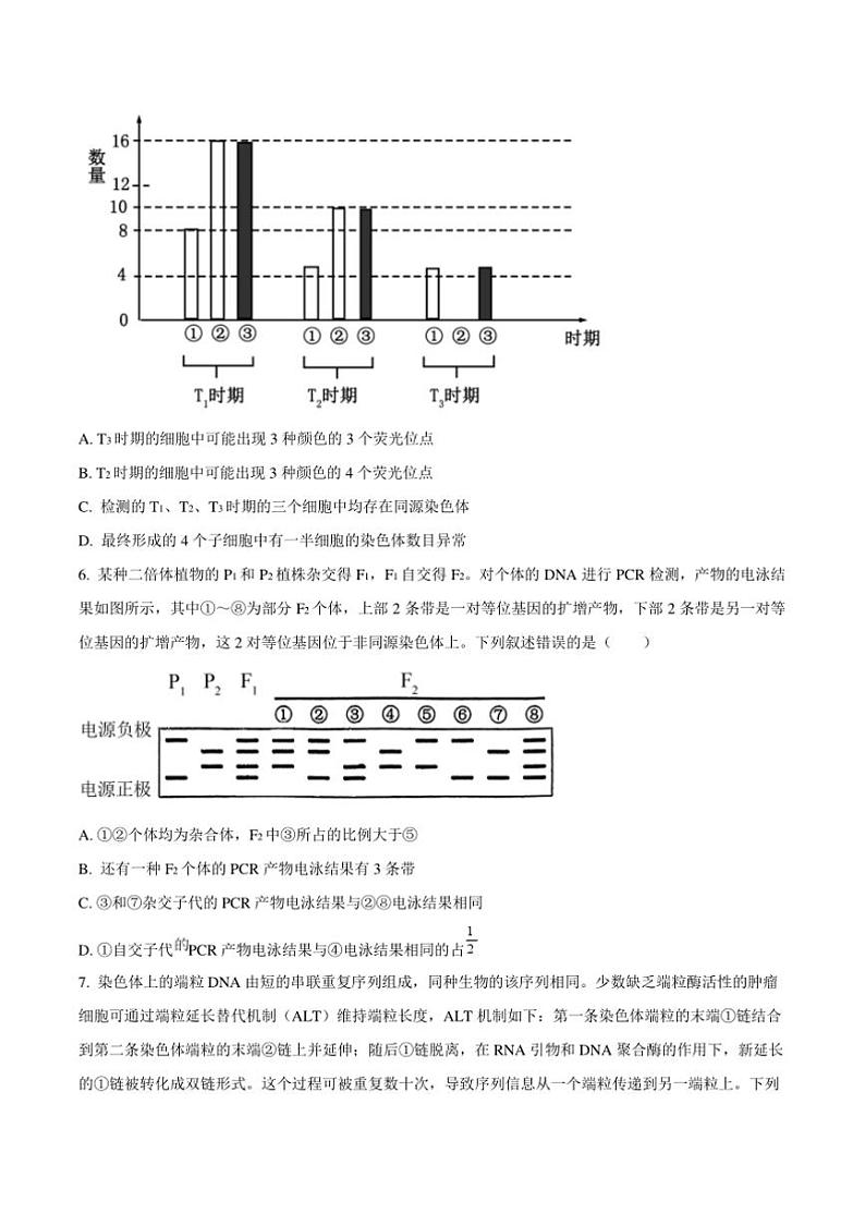 2025届山东省泰安第一中学高三上12月月考生物试卷(含答案)第3页