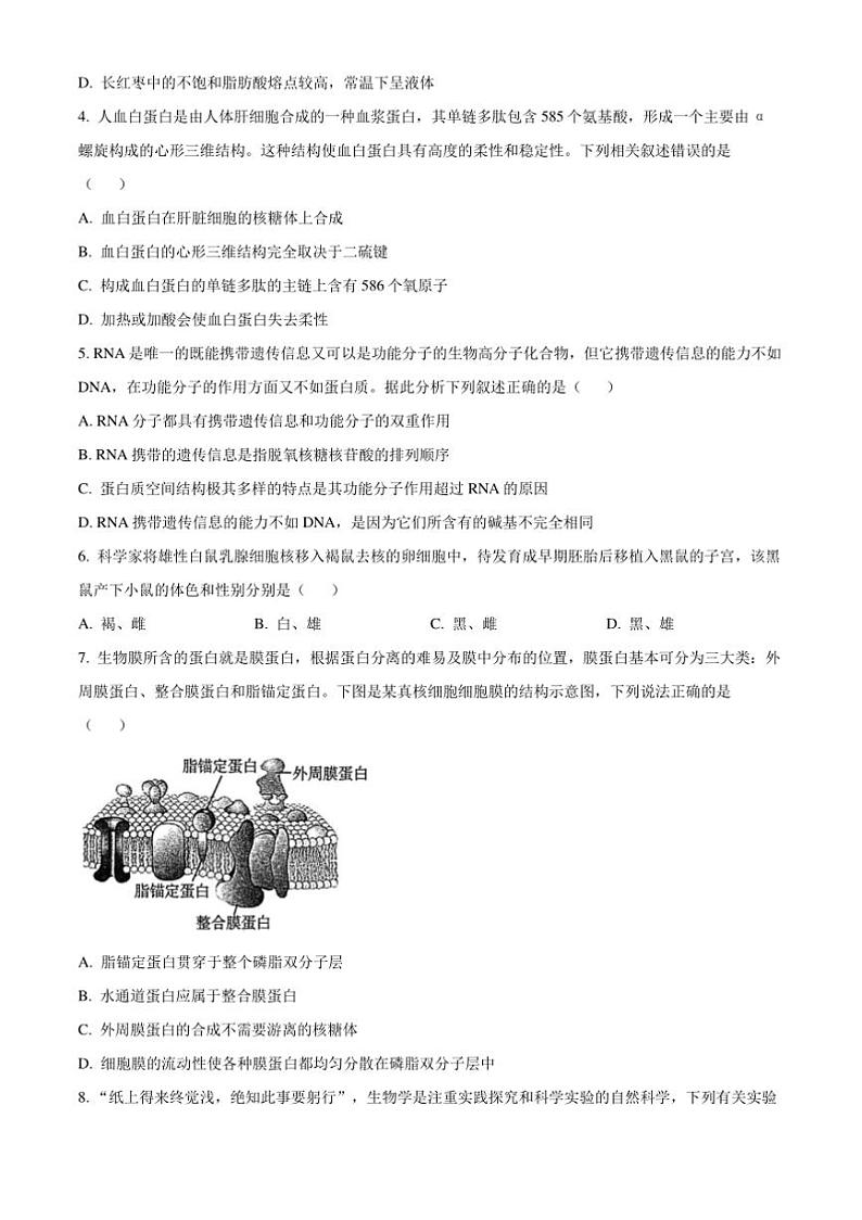 2024~2025学年山东省大联考(月考)高一上12月月考生物试卷(含答案)第2页