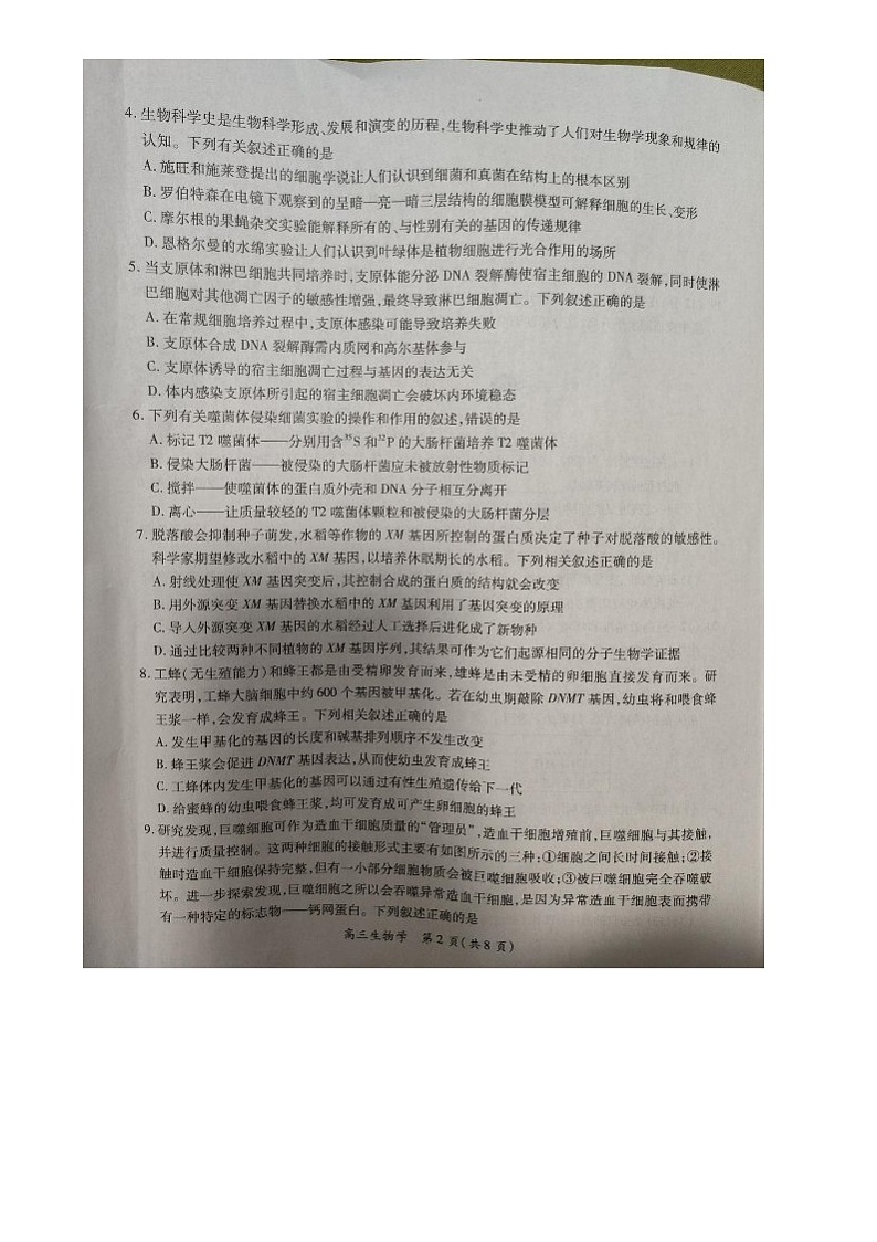 江西省吉安市六校协作体2024-2025学年高三上学期1月联考生物试题第2页