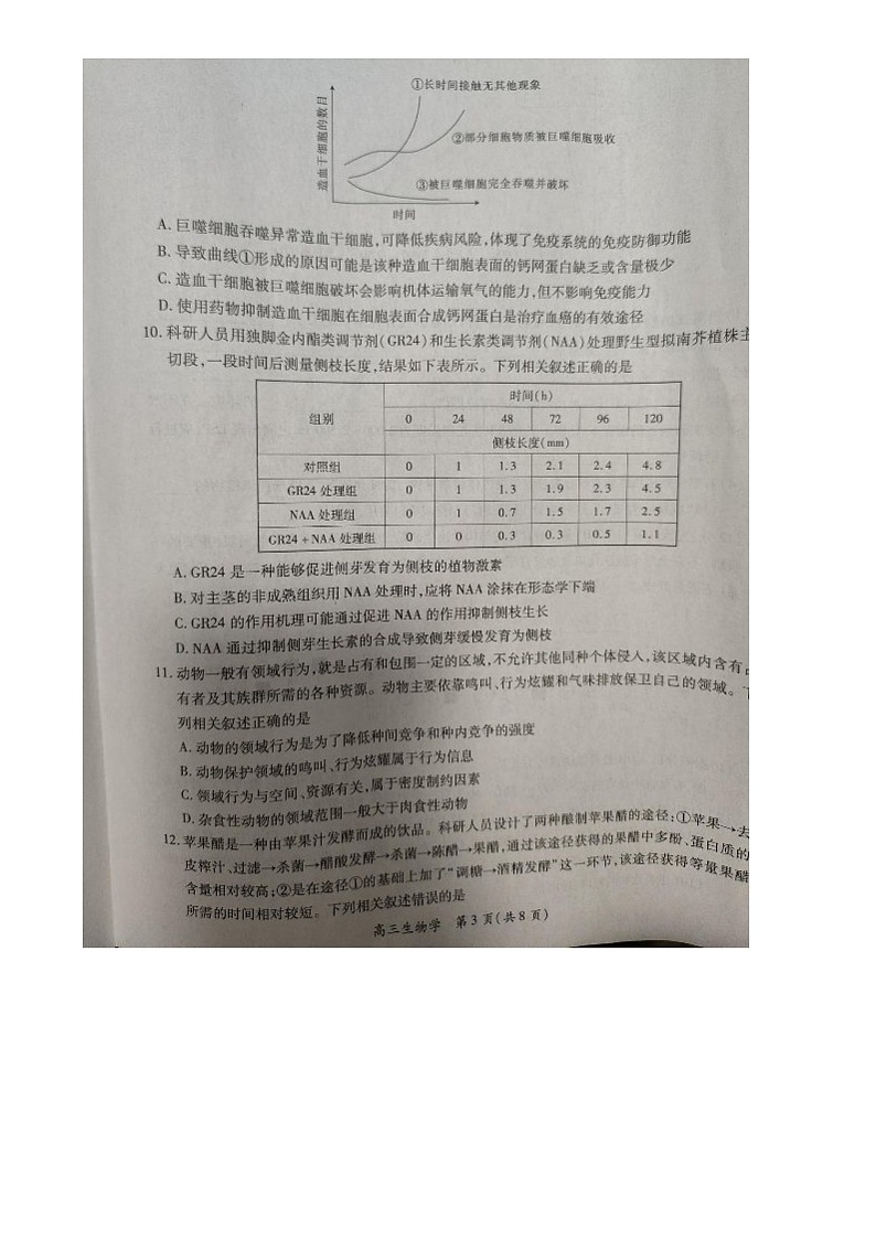 江西省吉安市六校协作体2024-2025学年高三上学期1月联考生物试题第3页