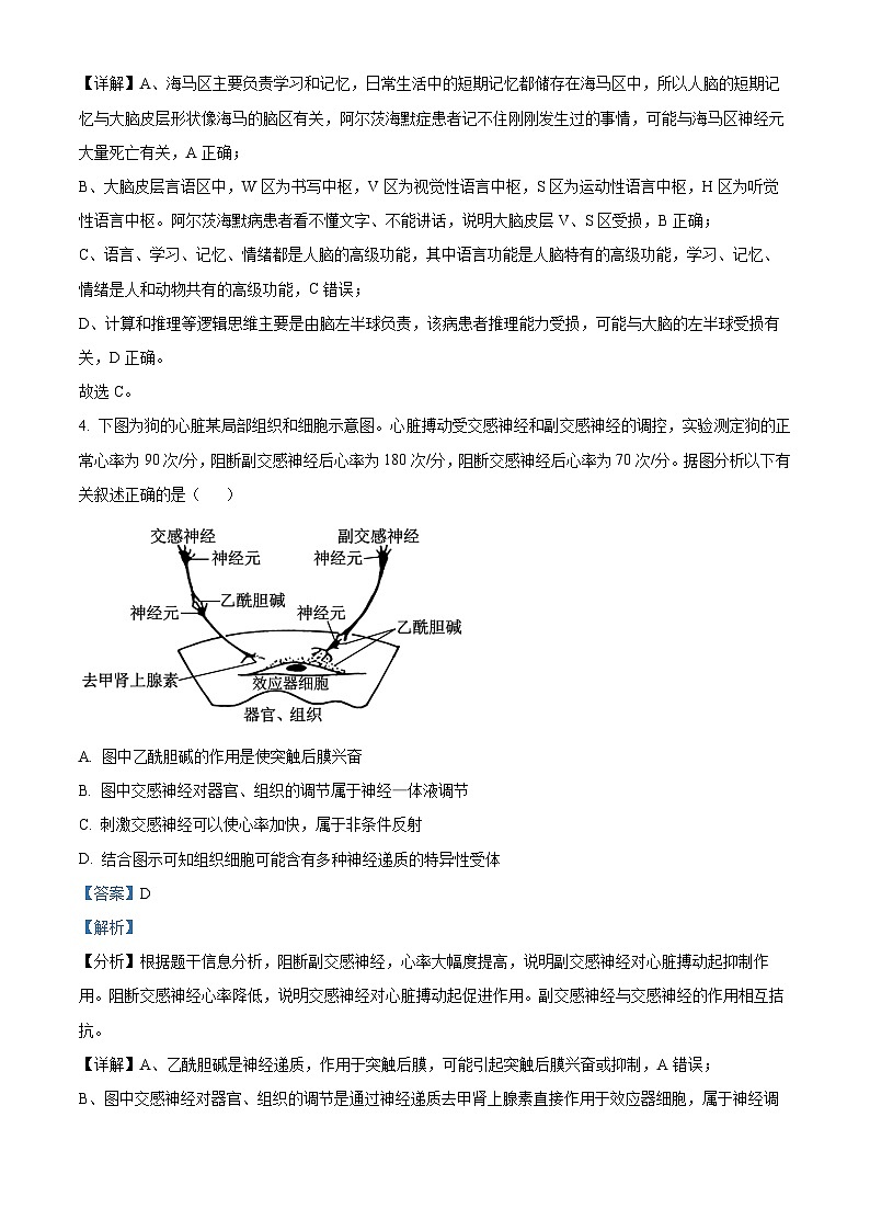广西壮族自治区河池市十校协作体2024-2025学年高二上学期12月月考生物试题含解析第3页