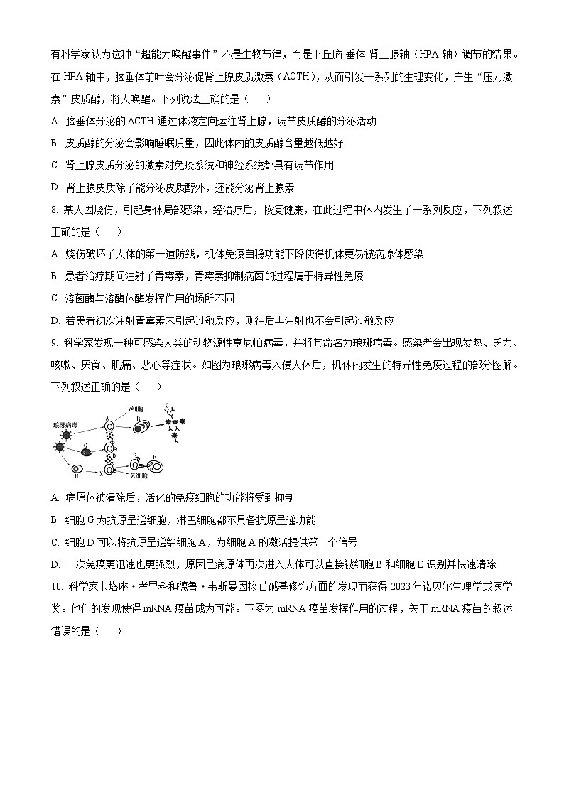 广西壮族自治区河池市十校协作体2024-2025学年高二上学期12月月考生物试题无答案第3页