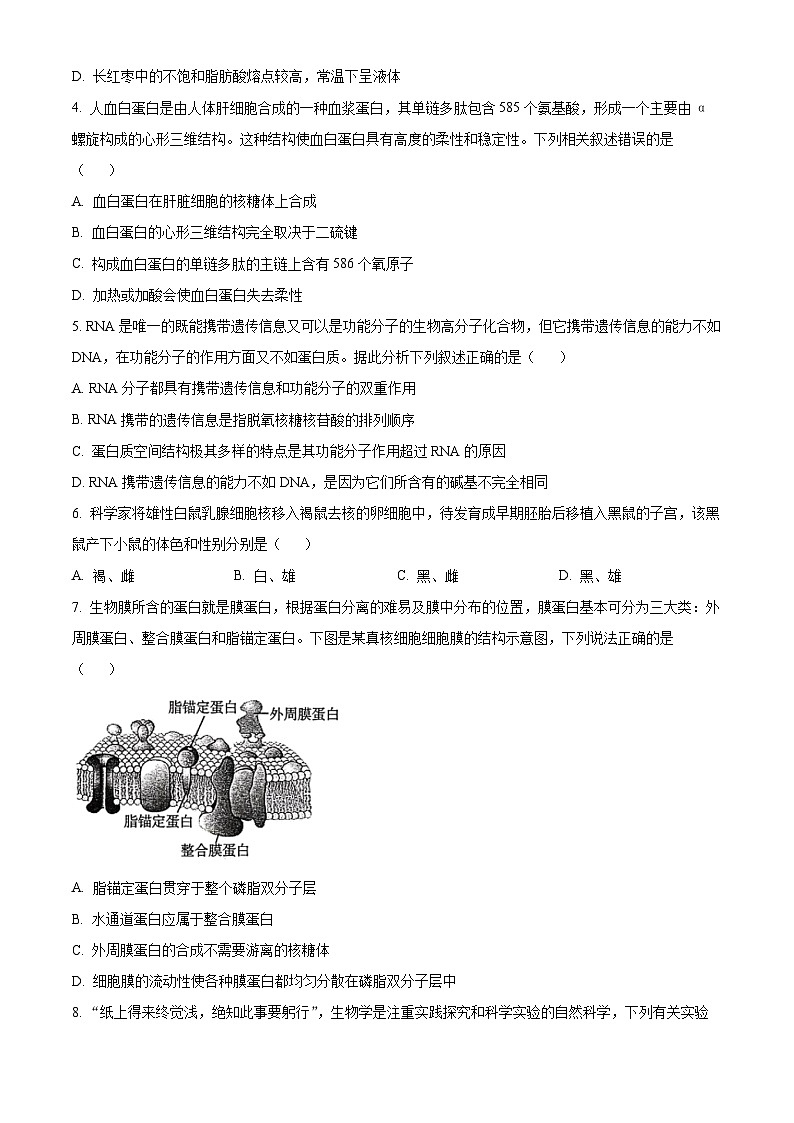 山东省大联考2024-2025学年高一上学期12月月考生物试题无答案第2页
