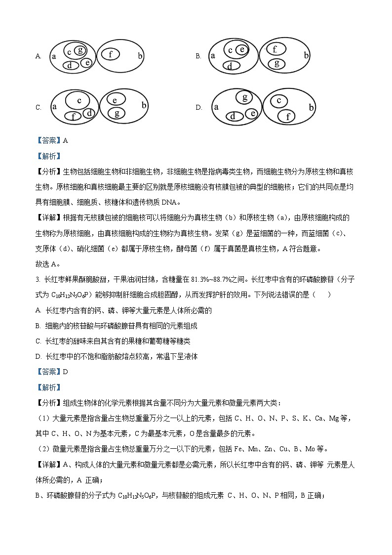 山东省大联考2024-2025学年高一上学期12月月考生物试题含解析第2页