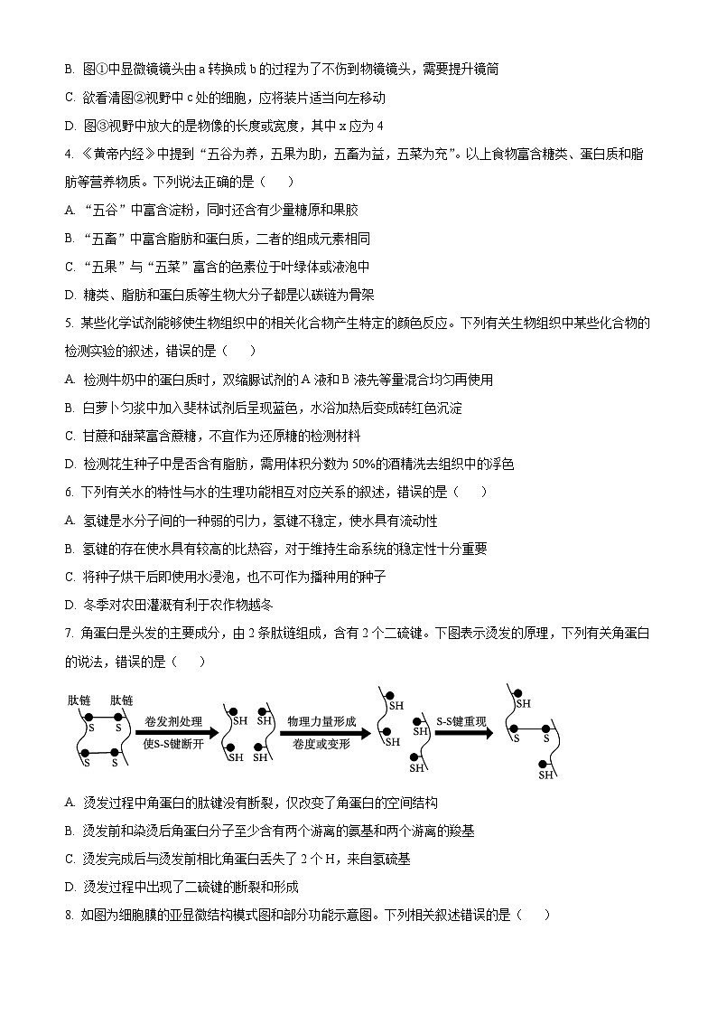 贵州省贵阳市2024-2025学年高一上学期12月月考生物试题无答案第2页