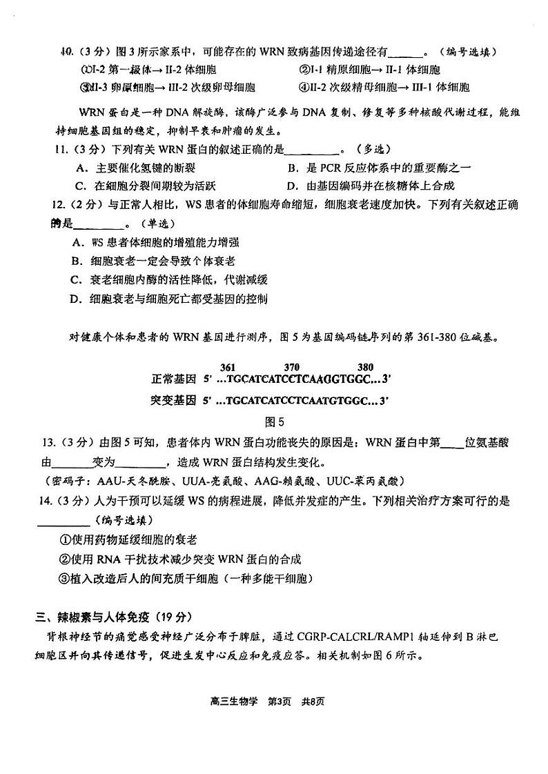 2025届上海市青浦区高三一模生物试卷和参考答案第3页
