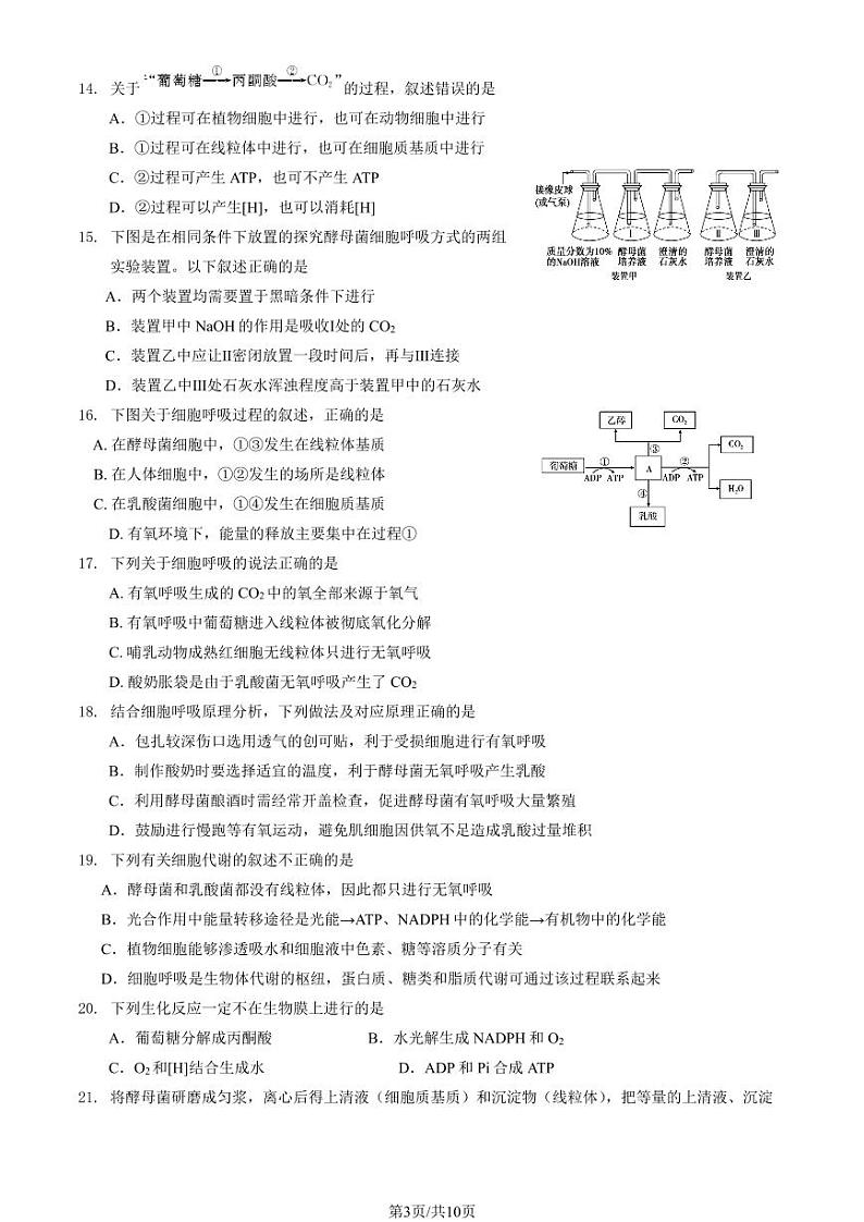 2024北京清华附中朝阳学校高一(上)12月月考生物试卷(教师版)第3页