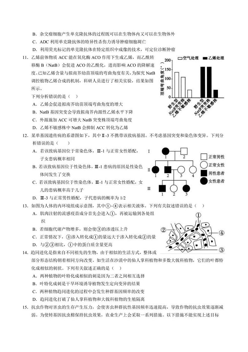 2025届湖北省沙市中学高三上12月月考生物试卷(含解析)第3页