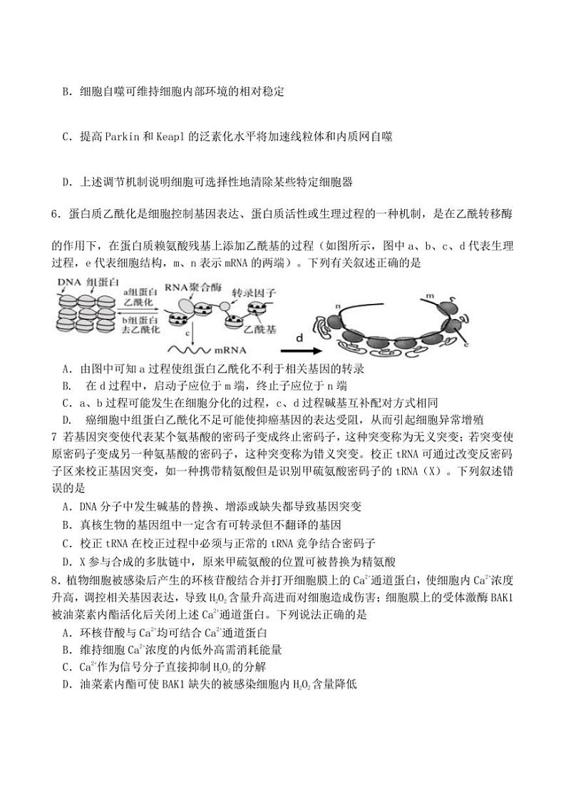 2025届福建省龙岩市上杭县第一中学高三上12月月考生物试卷(含答案)第2页