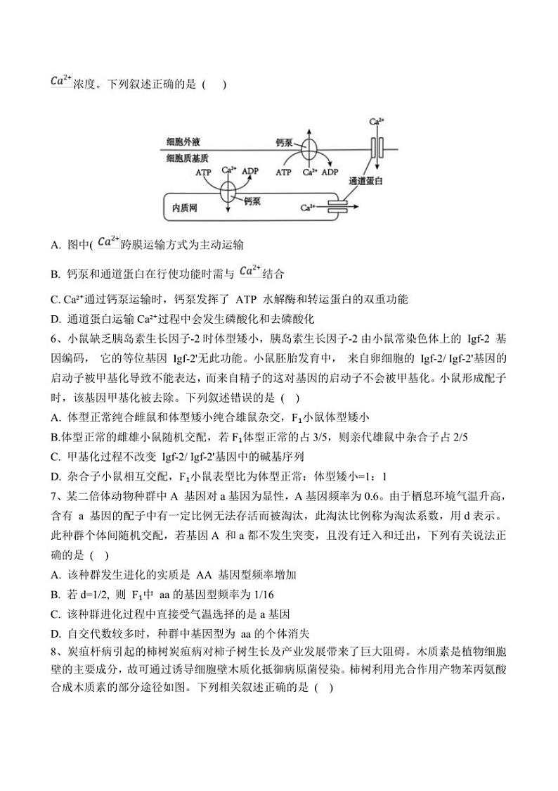 2025届黑龙江省佳木斯市第一中学校高三上(五)月考生物试卷(含答案)第2页