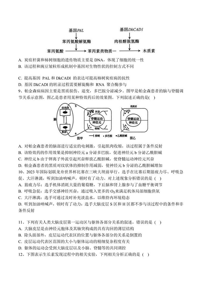 2025届黑龙江省佳木斯市第一中学校高三上(五)月考生物试卷(含答案)第3页