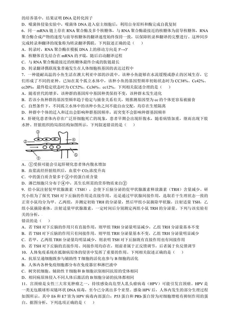 2024~2025学年湖南省长沙市第一中学高三上月考(四)生物试卷(有解析)第2页
