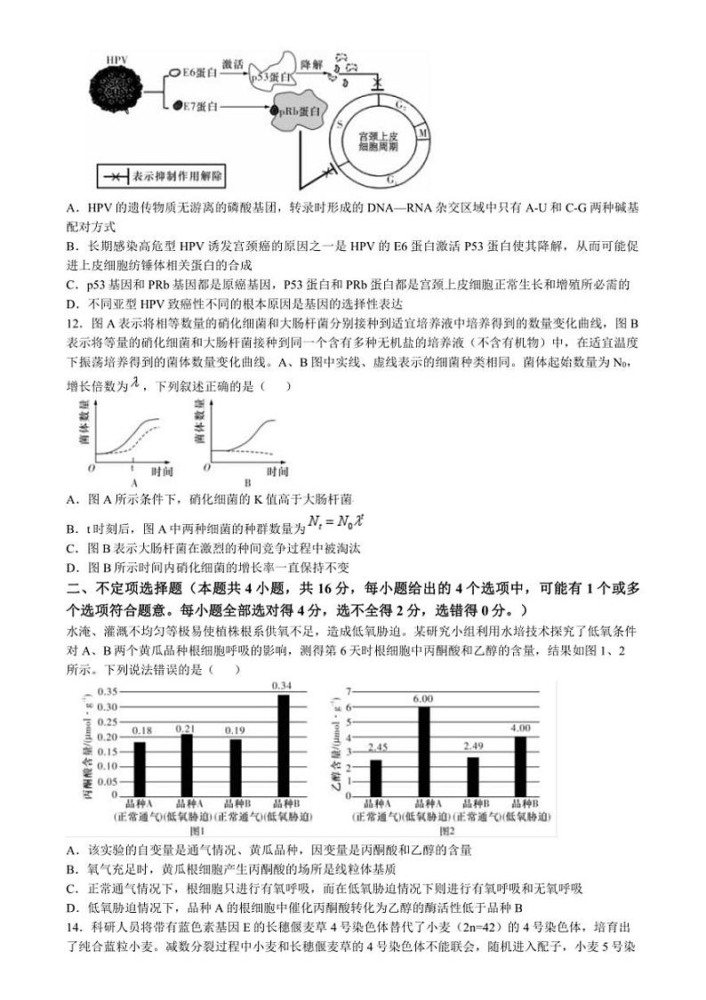 2024~2025学年湖南省长沙市第一中学高三上月考(四)生物试卷(有解析)第3页