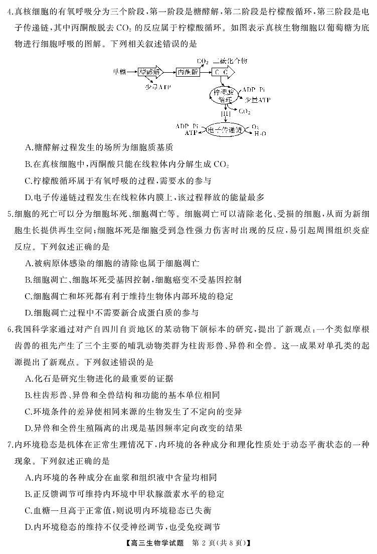 湖南省五市十校T8联盟2025届高三高考第一轮复习考试-生物试题+答案第2页