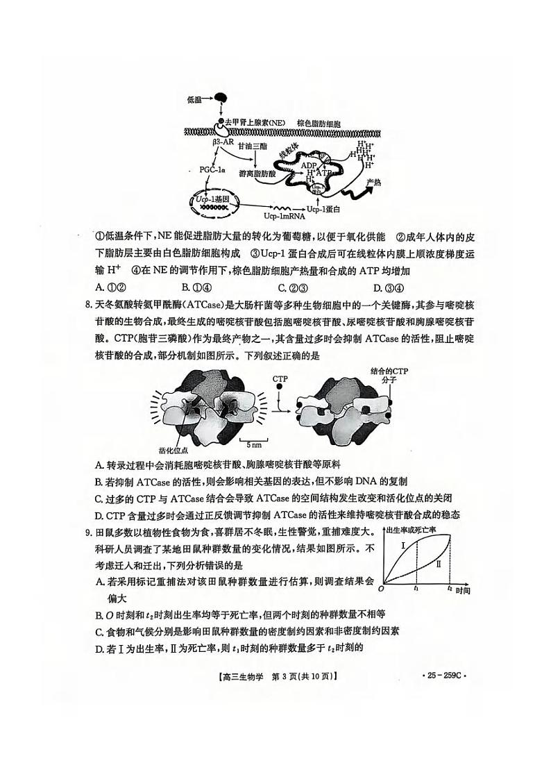 生物丨河北省五个一名校联盟2025届高三1月一轮收官验收联考生物试卷及答案第3页